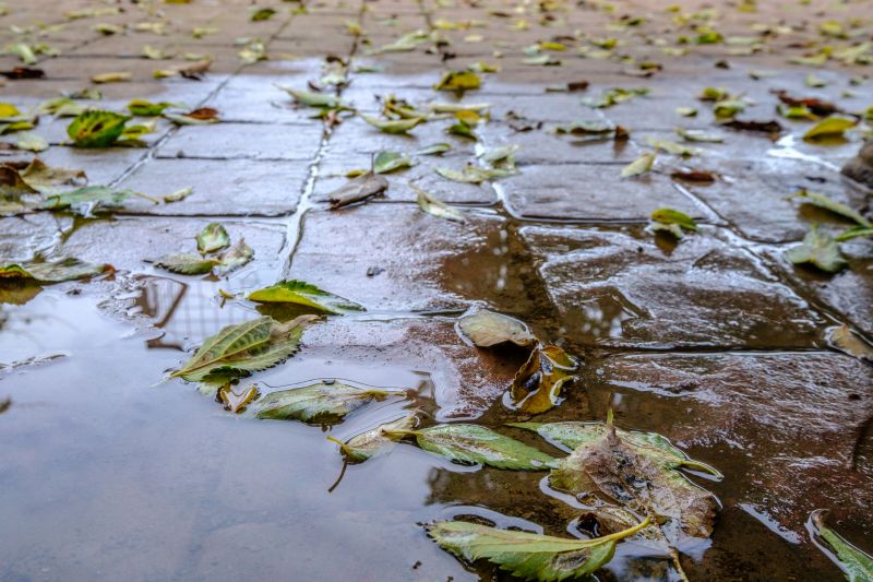 Decorative Concrete Repair in Cary, NC