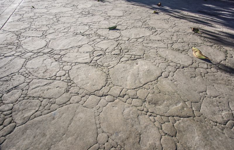 Stamped Concrete Installation in Fort Worth, TX