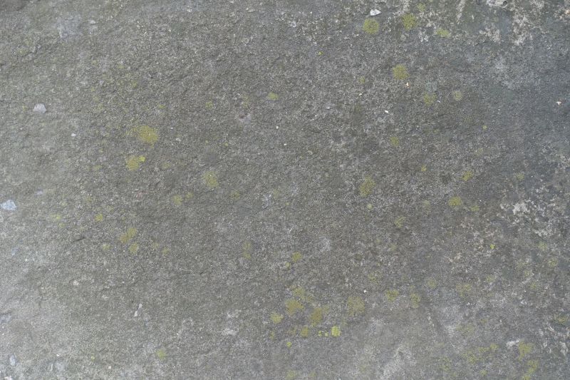 Stamped Concrete Staining in Dallas, TX